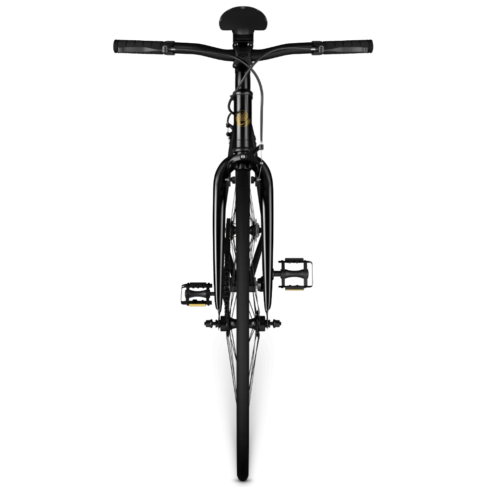 Minimal single speed drivetrain on the 53